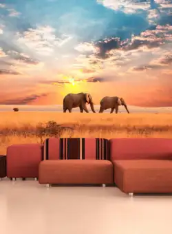 Fototapet African Savanna Elephants