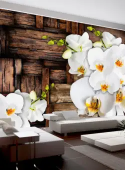 Fototapet Blooming Orchids