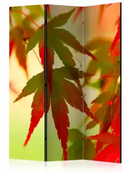 Paravan Colourful Leaves [Room Dividers] 135 cm x 172 cm