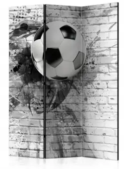 Paravan Dynamic Football [Room Dividers] 135 cm x 172 cm