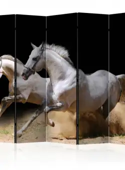 Paravan Galloping Horses On The Sand Ii [Room Dividers] 225 cm x 172 cm