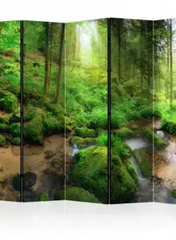 Paravan Humid Forest Ii [Room Dividers] 225 cm x 172 cm