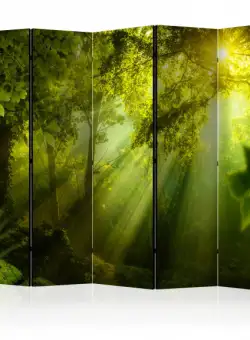 Paravan In A Secret Forest Ii Ii [Room Dividers] 225 cm x 172 cm