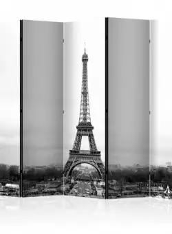 Paravan Paris: Black And White Photography Ii [Room Dividers] 225 cm x 172 cm