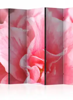 Paravan Pink Azalea Flowers Ii [Room Dividers] 225 cm x 172 cm