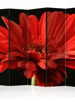 Paravan Red Gerbera Flower Ii [Room Dividers] 225 cm x 172 cm
