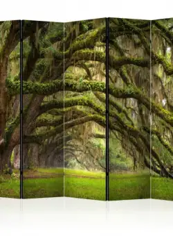Paravan Tree Embrace Ii [Room Dividers] 225 cm x 172 cm