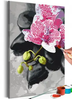Pictatul Pentru Recreere Pink Orchid
