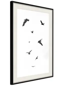 Poster Birds