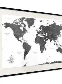 Poster The World in Black and White