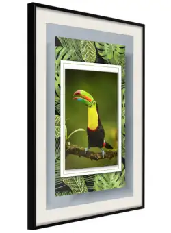 Poster Toucan in the Frame