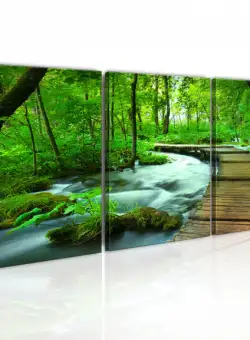 Tablou Forest Broadwalk Triptych