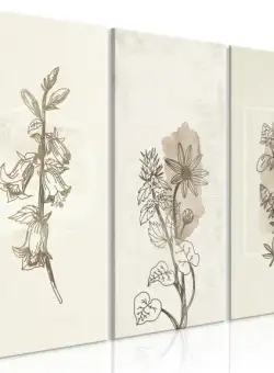 Tablou Herbarium (3 Parts) 90 x 60 cm
