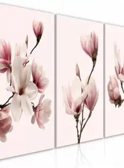 Tablou Spring Magnolias (3 Parts)