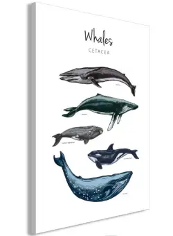 Tablou Whales (1 Part) Vertical 40 x 60 cm